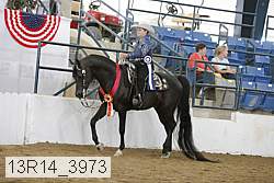 13r14_3973 proof