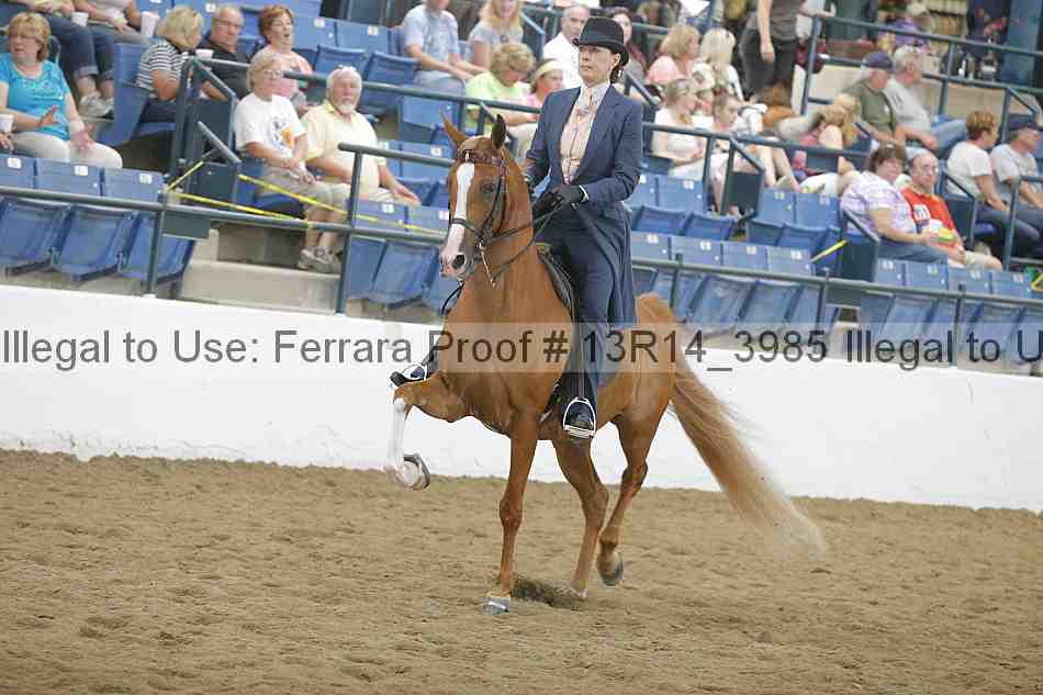 Proof 13r14_3985