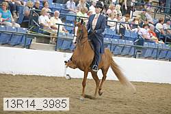 13r14_3985 proof