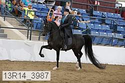 13r14_3987 proof