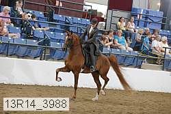 13r14_3988 proof