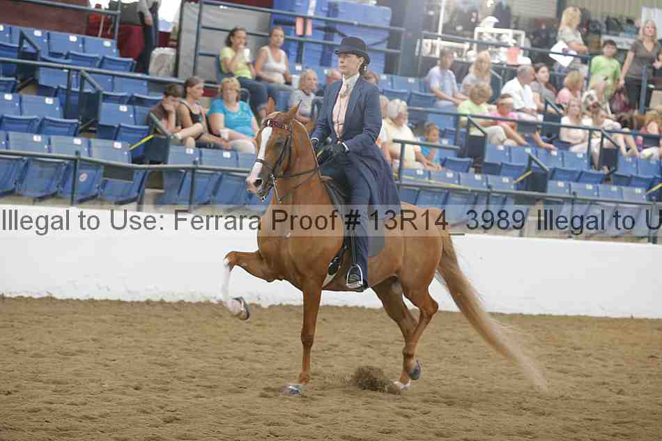 Proof 13r14_3989