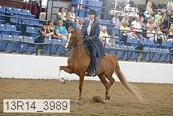 13r14_3989 proof
