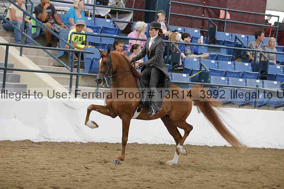 Proof 13r14_3992