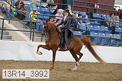 13r14_3992 proof