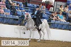 13r14_3993 proof