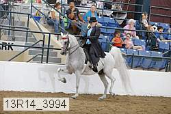 13r14_3994 proof