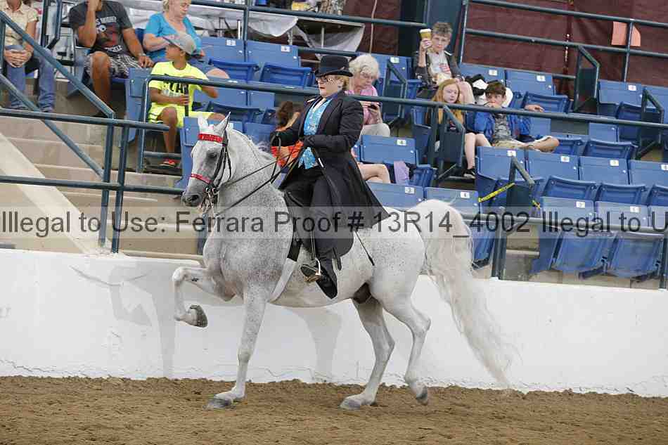 Proof 13r14_4002