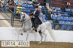 13r14_4002 proof