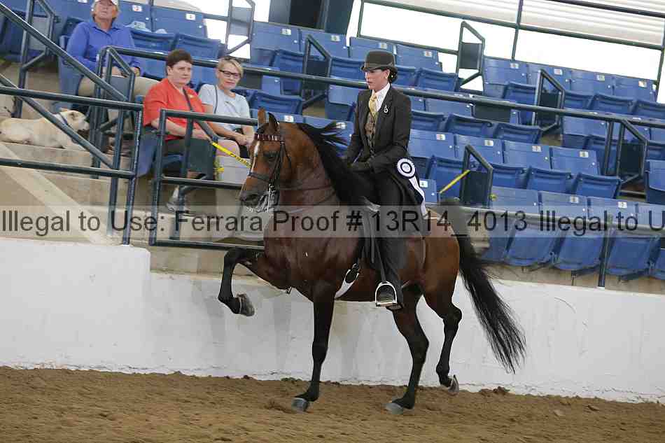 Proof 13r14_4013