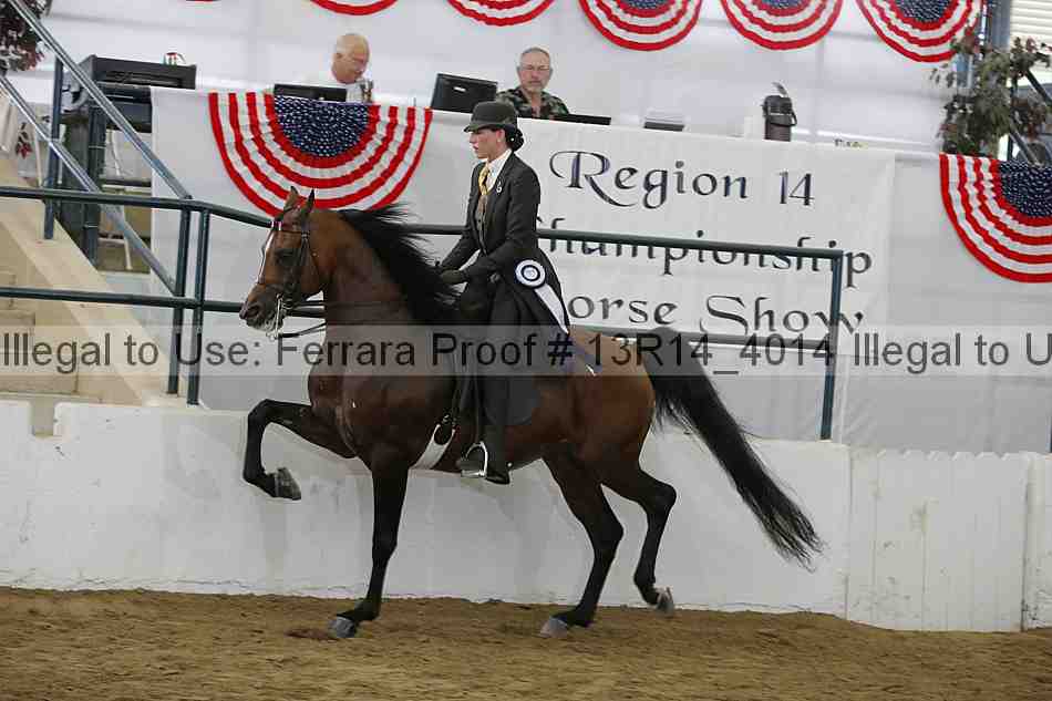 Proof 13r14_4014