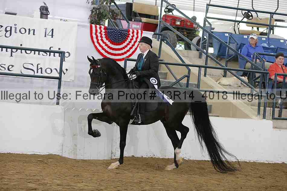 Proof 13r14_4018