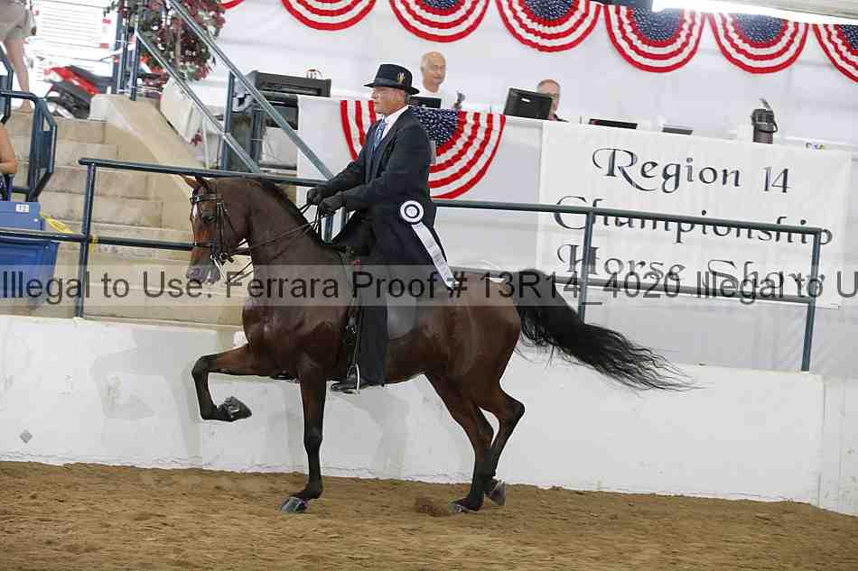 Proof 13r14_4020