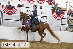 13r14_4027 proof