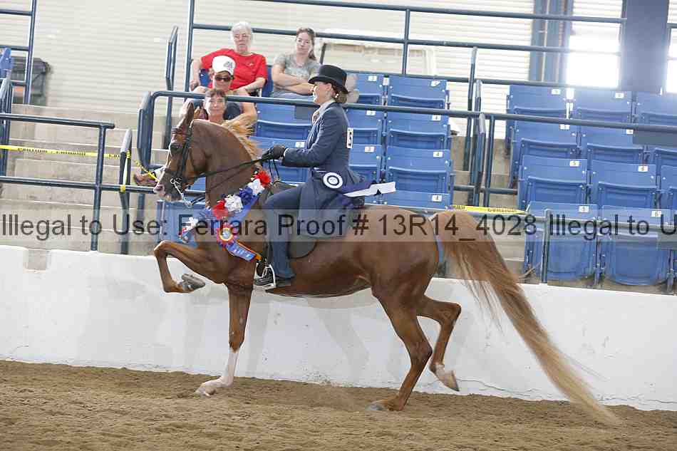 Proof 13r14_4028