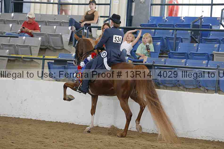 Proof 13r14_4029