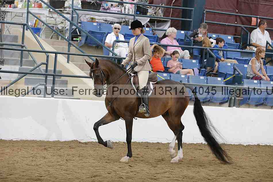 Proof 13r14_4045
