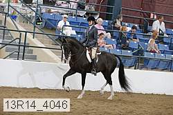 13r14_4046 proof