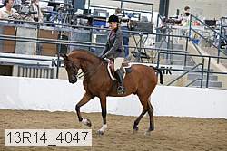 13r14_4047 proof