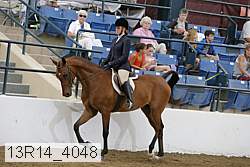 13r14_4048 proof