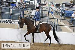 13r14_4056 proof