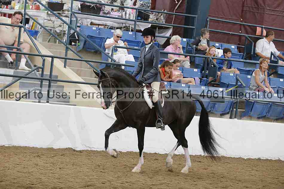 Proof 13r14_4061