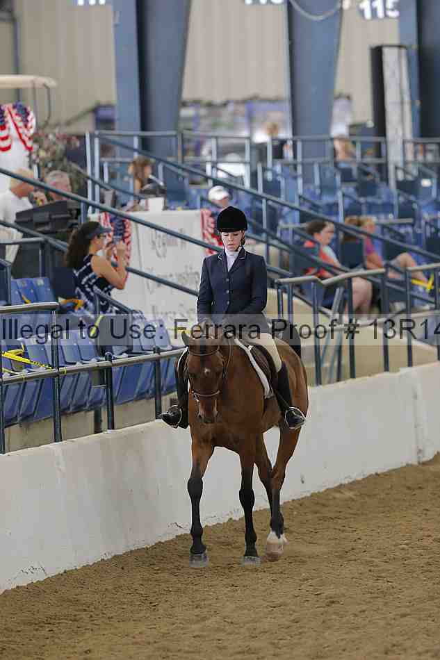 Proof 13r14_4063