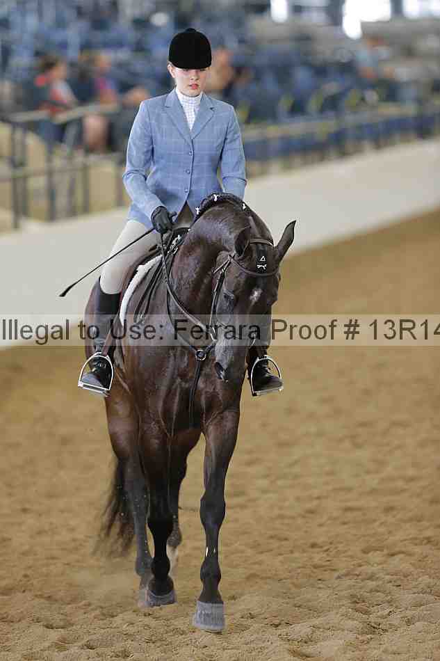 Proof 13r14_4065