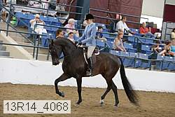 13r14_4068 proof