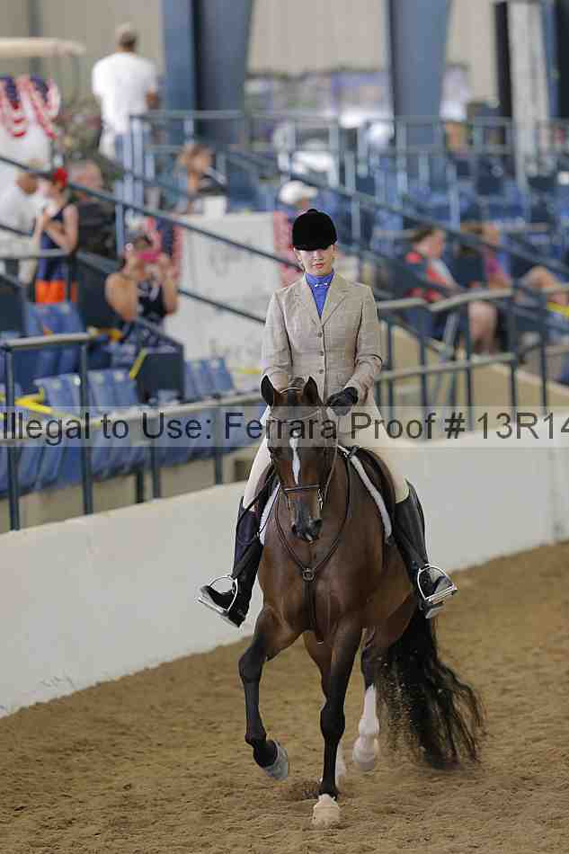 Proof 13r14_4069