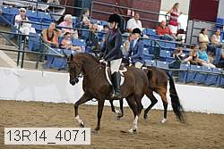 13r14_4071 proof