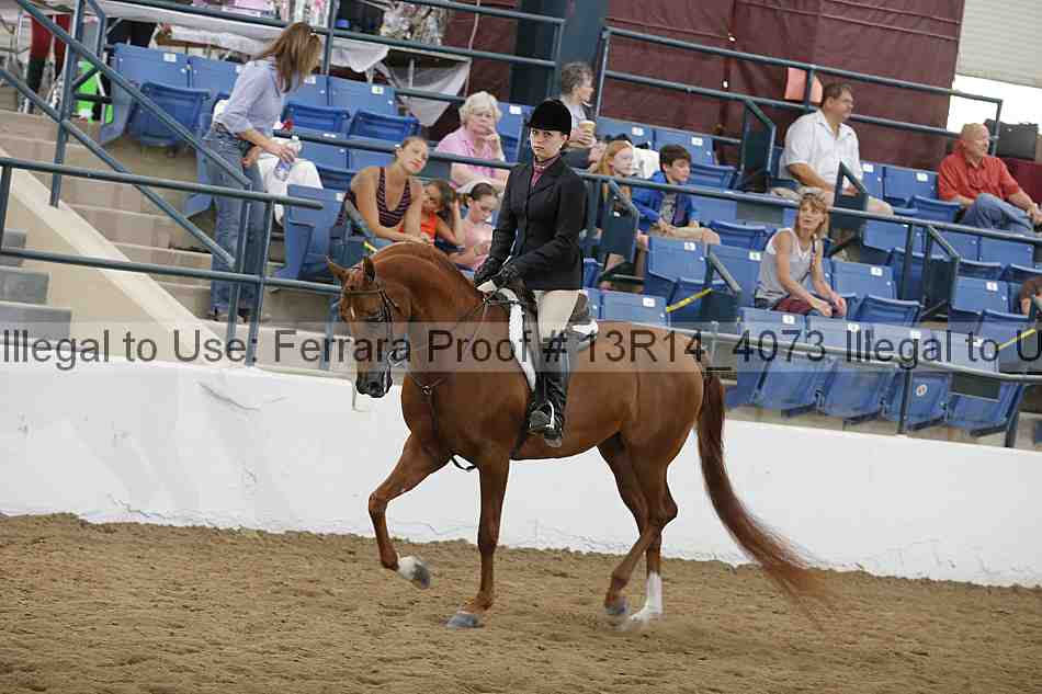 Proof 13r14_4073
