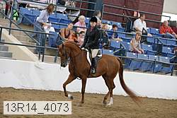 13r14_4073 proof