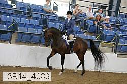 13r14_4083 proof
