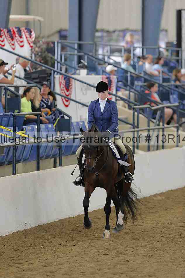 Proof 13r14_4085