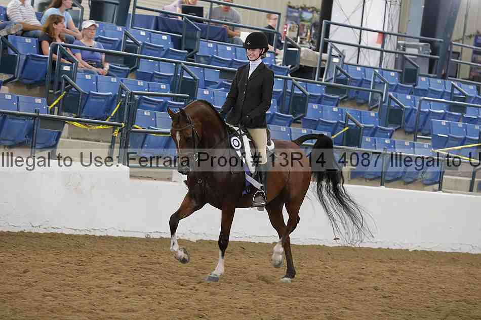 Proof 13r14_4087