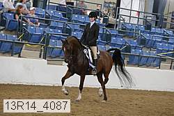 13r14_4087 proof