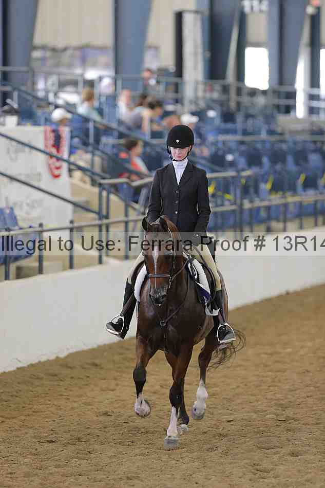 Proof 13r14_4091
