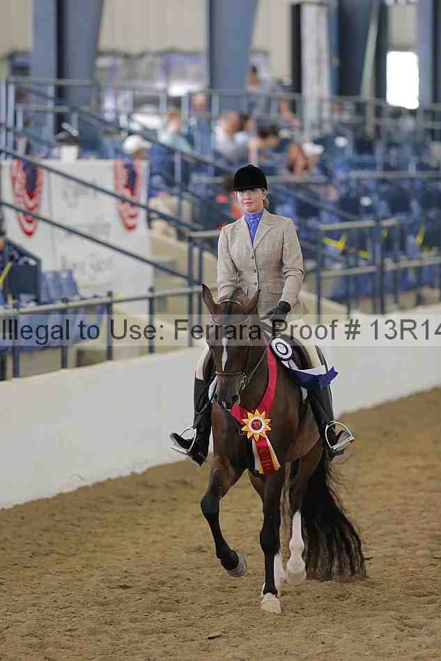 Proof 13r14_4096