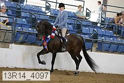 13r14_4097 proof