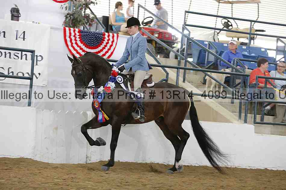 Proof 13r14_4099