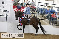 13r14_4099 proof