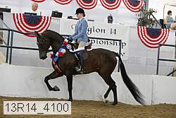 13r14_4100 proof