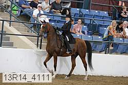 13r14_4111 proof