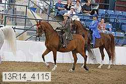 13r14_4115 proof