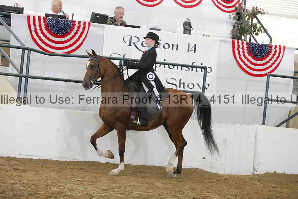 Proof 13r14_4151