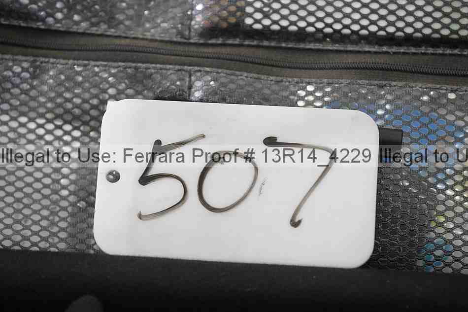 Proof 13r14_4229