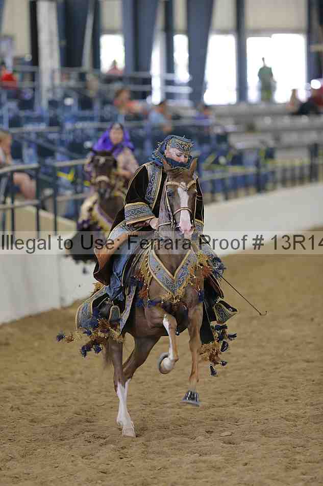 Proof 13r14_4237