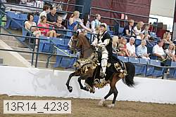 13r14_4238 proof
