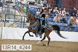 13r14_4244 proof